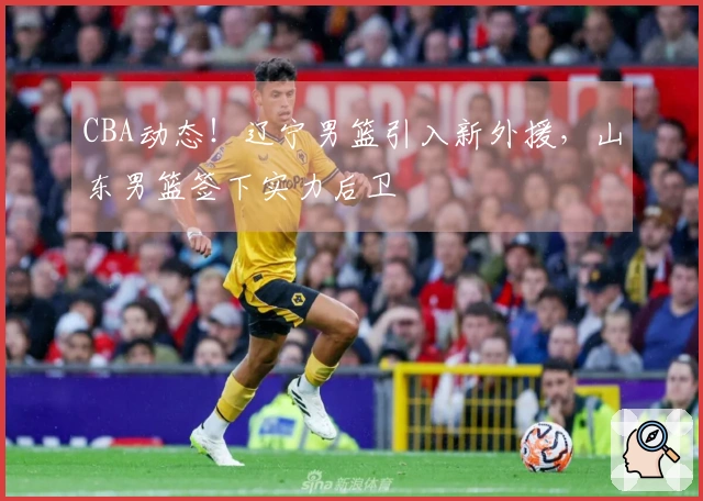 CBA动态！辽宁男篮引入新外援，山东男篮签下实力后卫