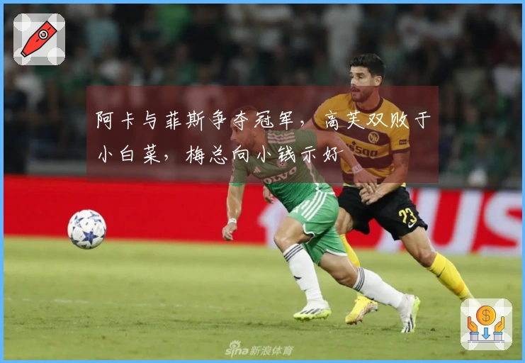 阿卡与菲斯争夺冠军，高芙双败于小白菜，梅总向小钱示好