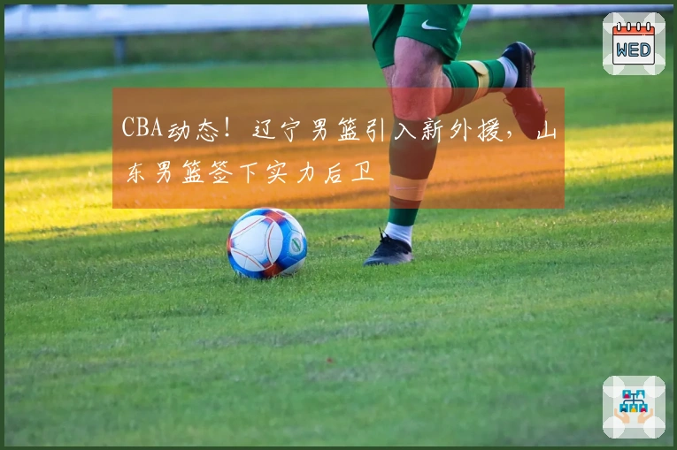 CBA动态！辽宁男篮引入新外援，山东男篮签下实力后卫