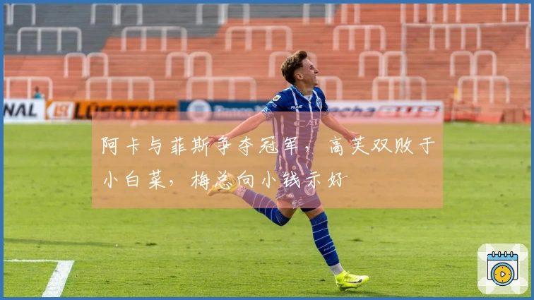 阿卡与菲斯争夺冠军，高芙双败于小白菜，梅总向小钱示好