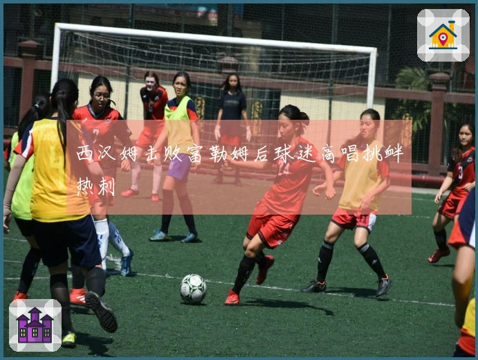 西汉姆击败富勒姆后球迷高唱挑衅热刺